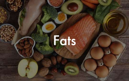 fats macro foods