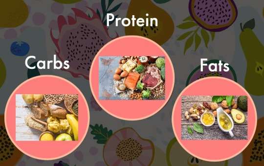 macro type foods in a diet