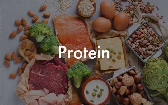 protein macro foods