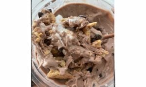 High Protein Loaded Chocolate S’Mores Ninja Creami