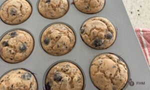 3-Ingredient Blueberry Protein Muffins (Viral Recipe!)