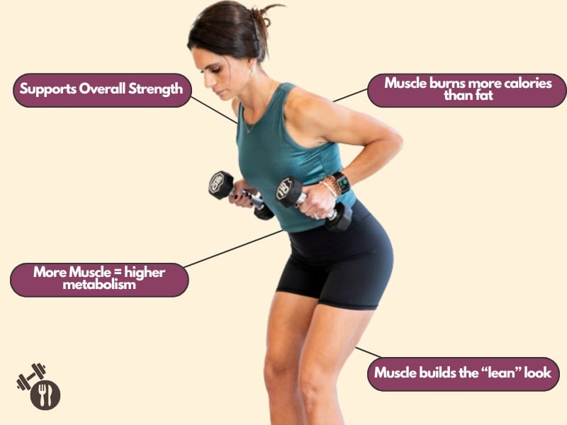 why muscle matters infographic why muscle matters infographic